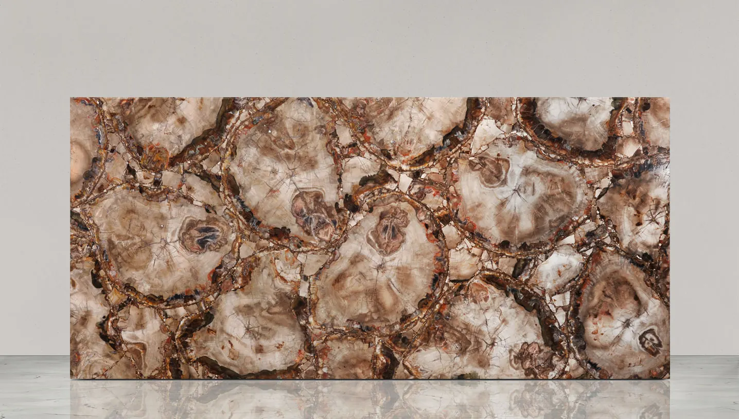 Petrified Wood Beige, полудрагоценные камни — образец натурального камня