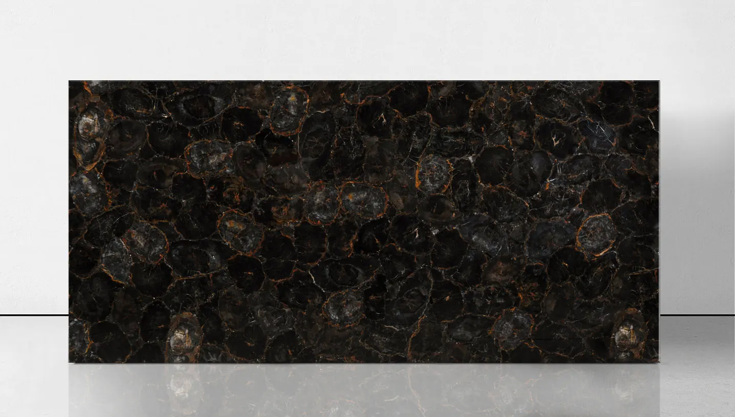 PETRIFIED WOOD BLACK Brown, полудрагоценные камни — образец натурального камня